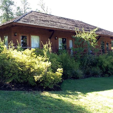 Hotel Y Cabanas Las Mellizas - Caja Los Andes 洛斯安赫莱斯 外观 照片