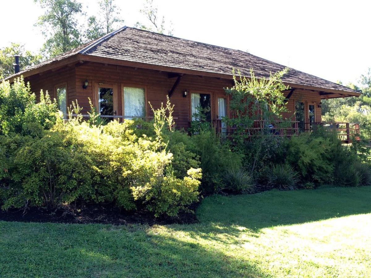 Hotel Y Cabanas Las Mellizas - Caja Los Andes 洛斯安赫莱斯 外观 照片