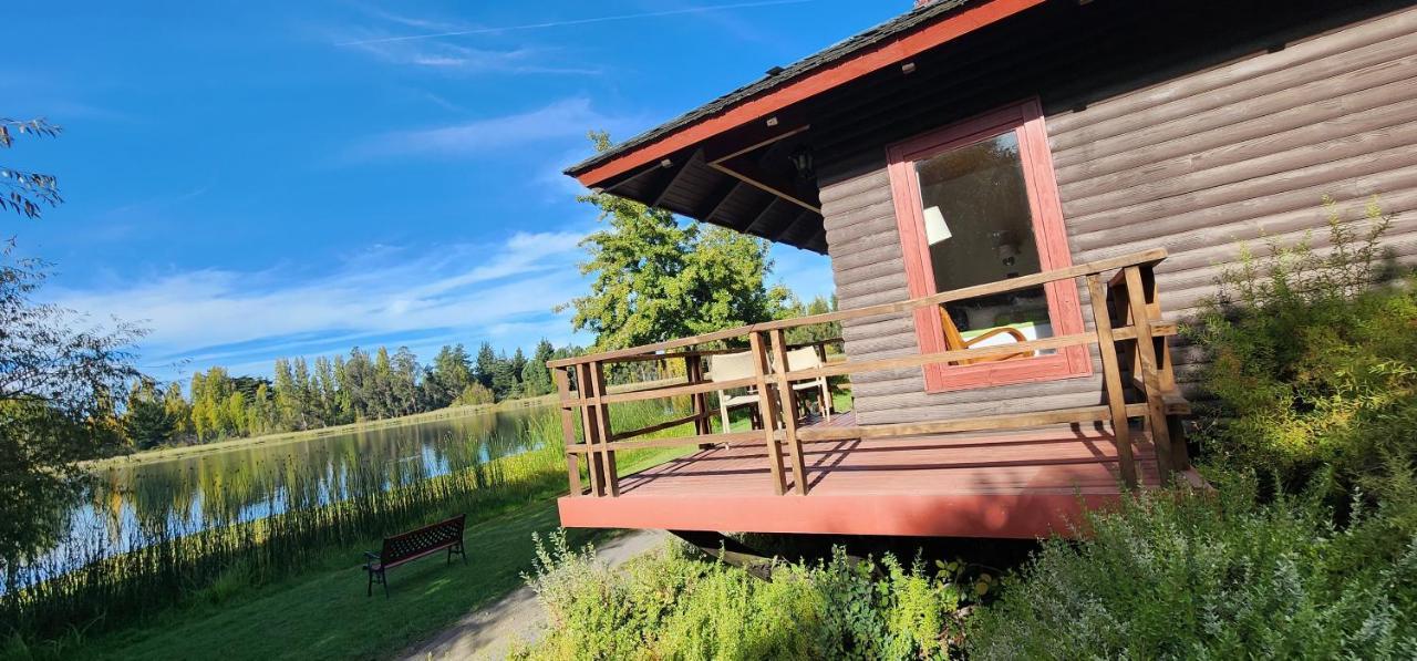 Hotel Y Cabanas Las Mellizas - Caja Los Andes 洛斯安赫莱斯 外观 照片