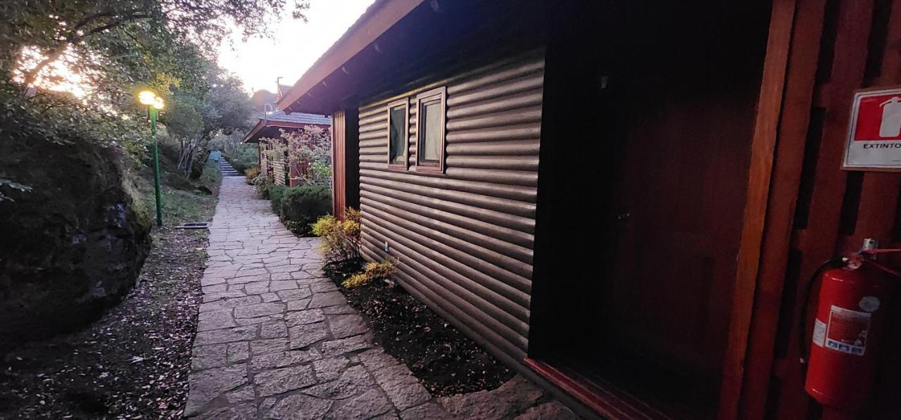 Hotel Y Cabanas Las Mellizas - Caja Los Andes 洛斯安赫莱斯 外观 照片