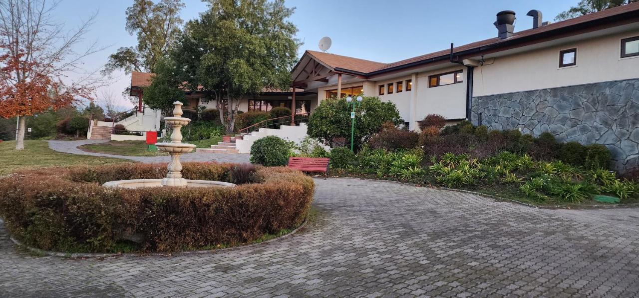 Hotel Y Cabanas Las Mellizas - Caja Los Andes 洛斯安赫莱斯 外观 照片
